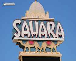 Sahara