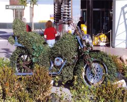 Nevada - Las Vegas 1998