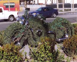 Nevada - Las Vegas 1998