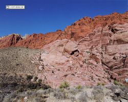 Nevada - Las Vegas 1998