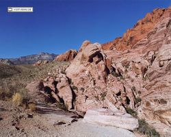 Nevada - Las Vegas 1998