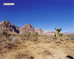 Nevada - Las Vegas 1998