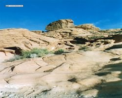 Nevada - Las Vegas 1998