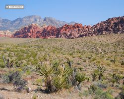 Nevada - Red Rock Canyon