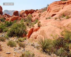 Nevada - Red Rock Canyon
