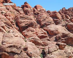 Nevada - Red Rock Canyon