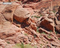 Nevada - Red Rock Canyon