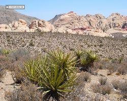 Nevada - Red Rock Canyon