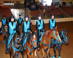 Nevada - Reno Rodeo 2011