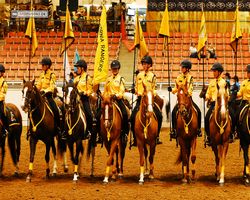 Nevada - Reno Rodeo 2011