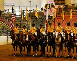 Nevada - Reno Rodeo 2011