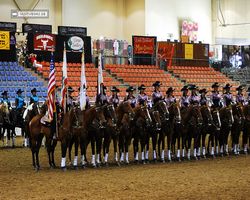 Nevada - Reno Rodeo 2011
