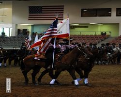 Nevada - Reno Rodeo 2011