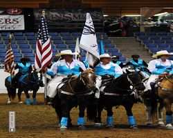 Nevada - Reno Rodeo 2011