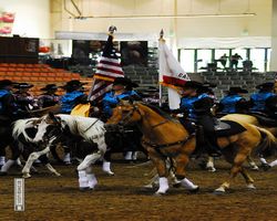 Nevada - Reno Rodeo 2011