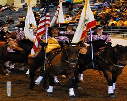 Nevada - Reno Rodeo 2011
