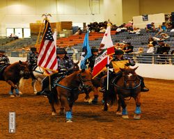 Nevada - Reno Rodeo 2011