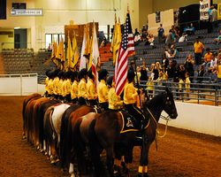 Nevada - Reno Rodeo 2011