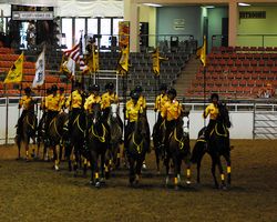Nevada - Reno Rodeo 2011