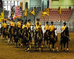 Nevada - Reno Rodeo 2011