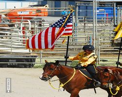 Nevada - Reno Rodeo 2011
