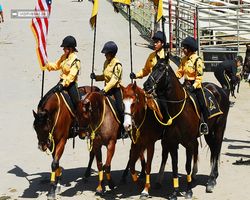 Nevada - Reno Rodeo 2011