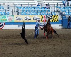 Nevada - Reno Rodeo 2011