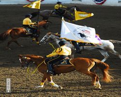 Nevada - Reno Rodeo 2011