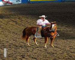 Nevada - Reno Rodeo 2011