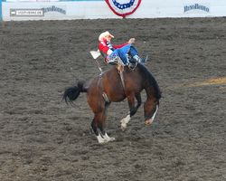 Nevada - Reno Rodeo 2011