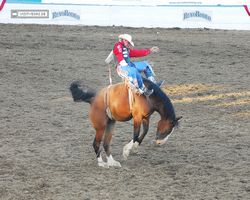 Nevada - Reno Rodeo 2011
