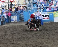 Nevada - Reno Rodeo 2011