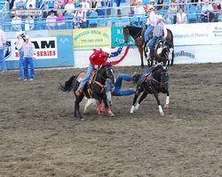 Nevada - Reno Rodeo 2011
