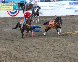 Nevada - Reno Rodeo 2011