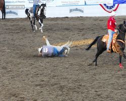 Nevada - Reno Rodeo 2011