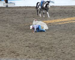 Nevada - Reno Rodeo 2011