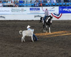 Nevada - Reno Rodeo 2011