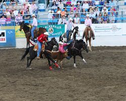 Nevada - Reno Rodeo 2011