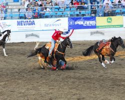 Nevada - Reno Rodeo 2011