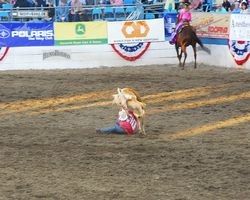 Nevada - Reno Rodeo 2011