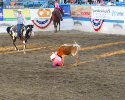 Nevada - Reno Rodeo 2011