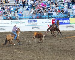 Nevada - Reno Rodeo 2011