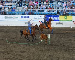 Nevada - Reno Rodeo 2011