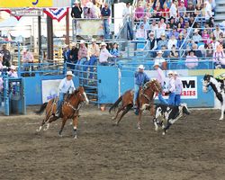 Nevada - Reno Rodeo 2011
