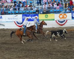 Nevada - Reno Rodeo 2011