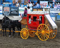 Nevada - Reno Rodeo 2011