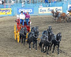 Nevada - Reno Rodeo 2011