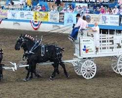 Nevada - Reno Rodeo 2011