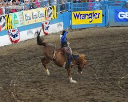 Nevada - Reno Rodeo 2011