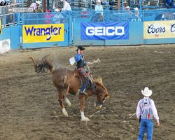 Nevada - Reno Rodeo 2011
